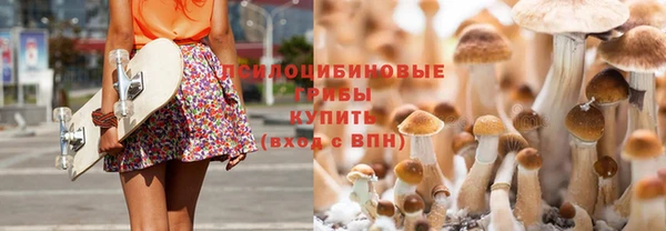 прущая мука Арсеньев
