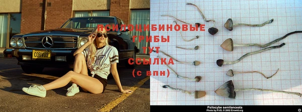 меф Армянск