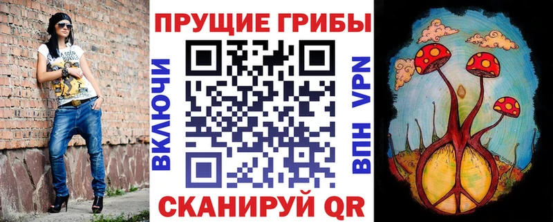 Псилоцибиновые грибы мухоморы  где купить наркотик  kraken ССЫЛКА  даркнет Telegram  Бакал 